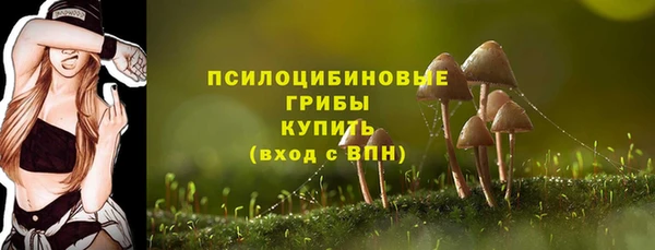 мет Кинешма