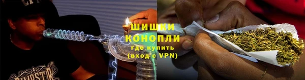 дурь Козельск