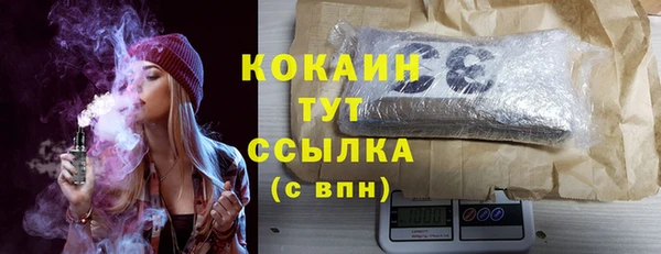 стаф Киренск