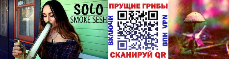 Галлюциногенные грибы MAGIC MUSHROOMS  Стародуб 